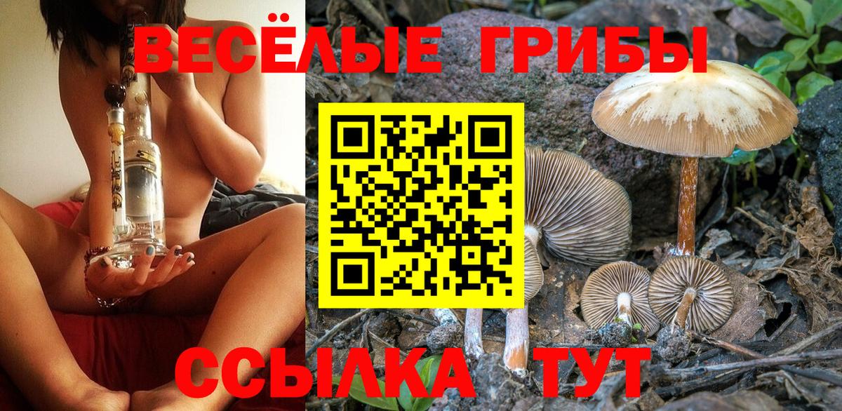 Вязьма  Псилоцибиновые грибы прущие грибы  Вход с VPN 